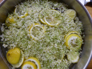 花とレモンをシロップと混ぜたところ。蓋を開けるたびに台所中が甘い香りに包まれます。
