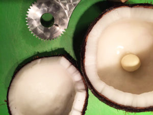 まず2等分にします。採れたての新鮮なココナッツの実はジューシーでおいしそう！